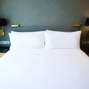 Premium Cotton Bed Sheet PLAIN 400TC FITTED