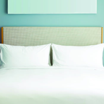 Premium Cotton Bed Sheet PLAIN 500TC FLAT